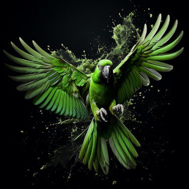 Black Background Parrot Canvas